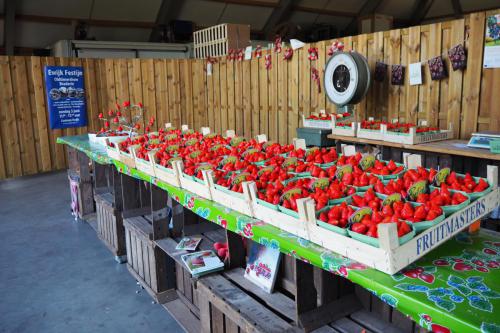 Aardbeien- en kersenkwekerij van Haalen